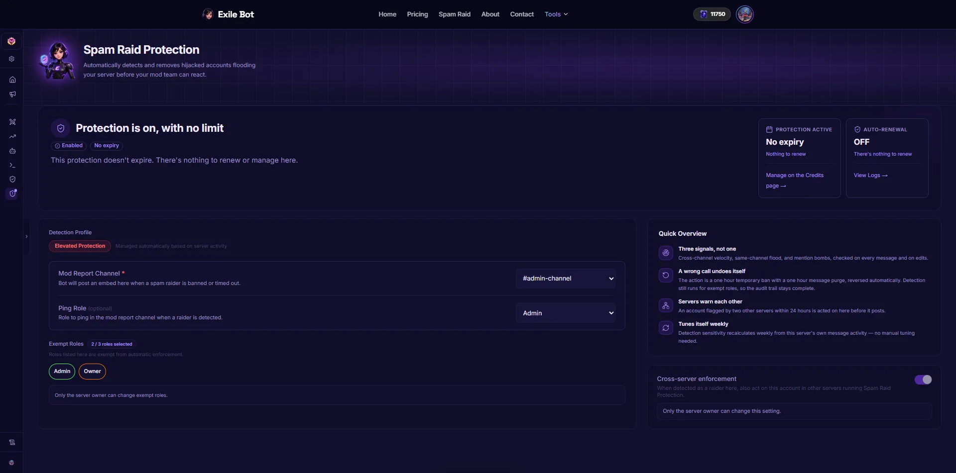The owner dashboard's spam and raid protection settings page, with protection switched on.